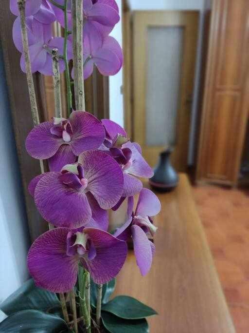 Casa Vacanza Il Corbetto Di Michela & Matteo Locana Ngoại thất bức ảnh